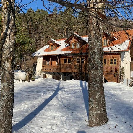 莫斯特拉纳House Alpine Rose别墅 外观 照片