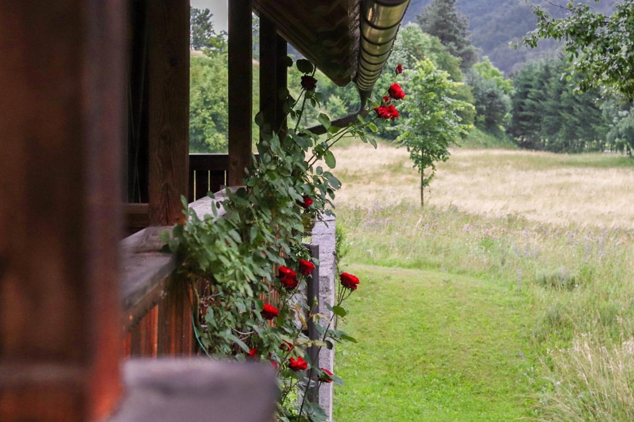 莫斯特拉纳House Alpine Rose别墅 外观 照片